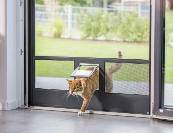Insektenschutz mit Katzenklappe