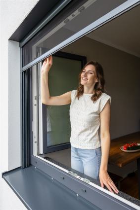 Insektenschutz Rollo Fenster